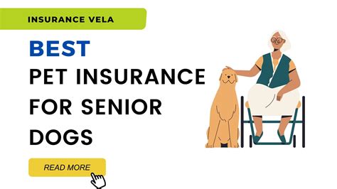 free pet insurance for seniors.